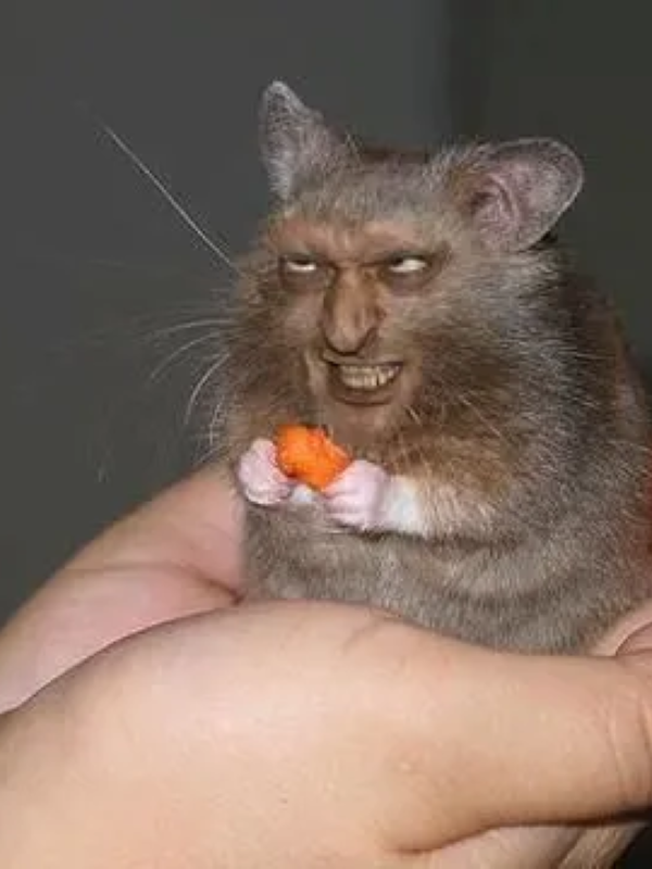 meme mặt gian xảo 31