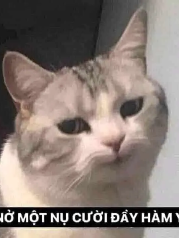 meme mặt gian xảo 36