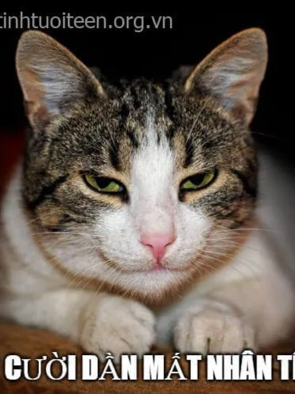 meme mặt gian xảo 7