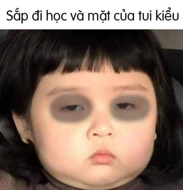 meme mắt thâm 12