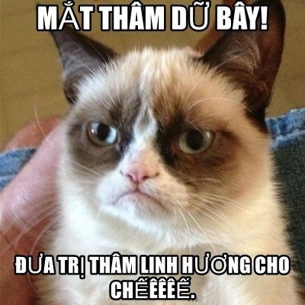 meme mắt thâm 2