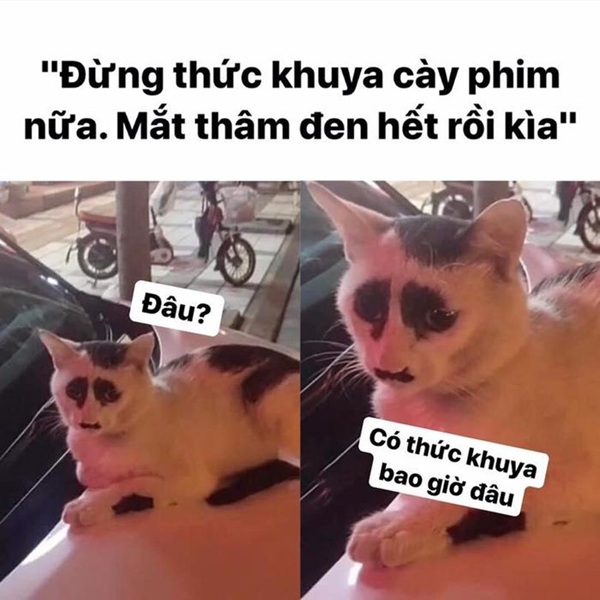 meme mắt thâm 25
