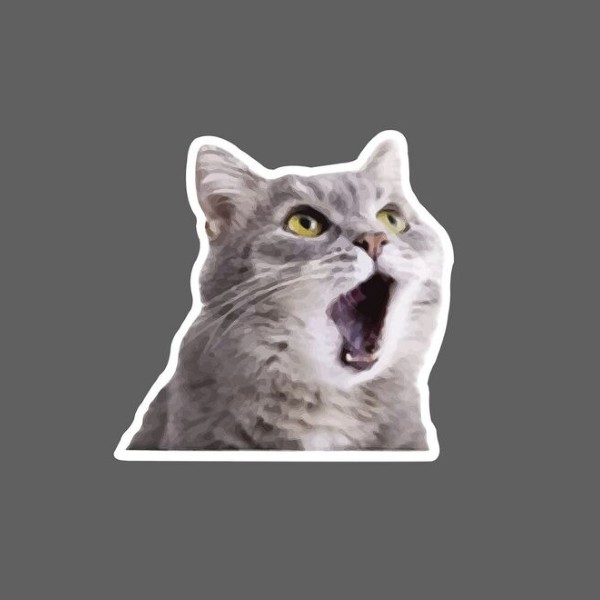 meme mèo bất ngờ 18