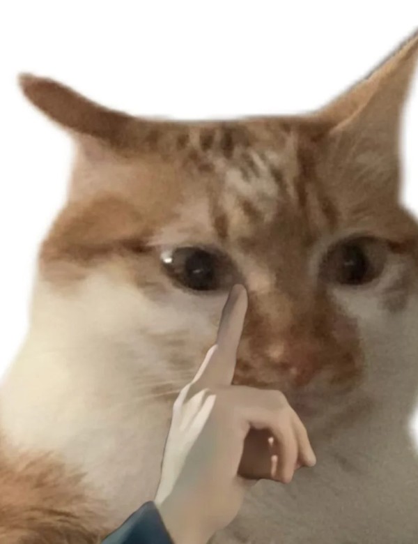 meme mèo nghi ngờ 13