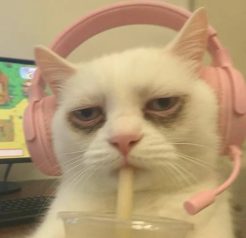 meme mệt mỏi 35