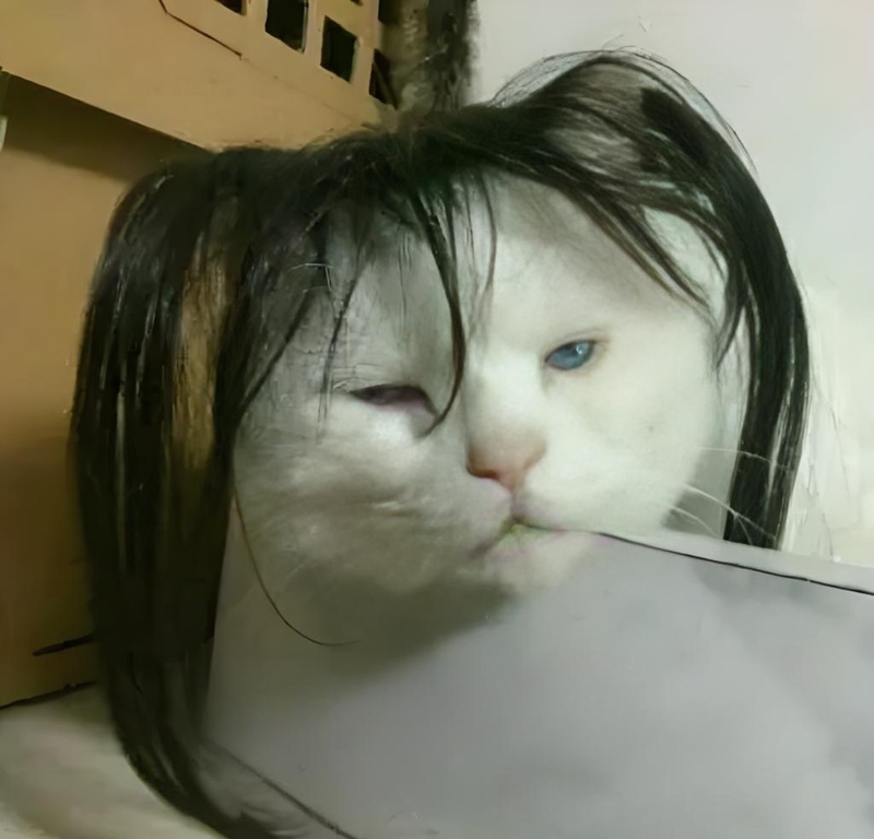 meme mệt mỏi 7
