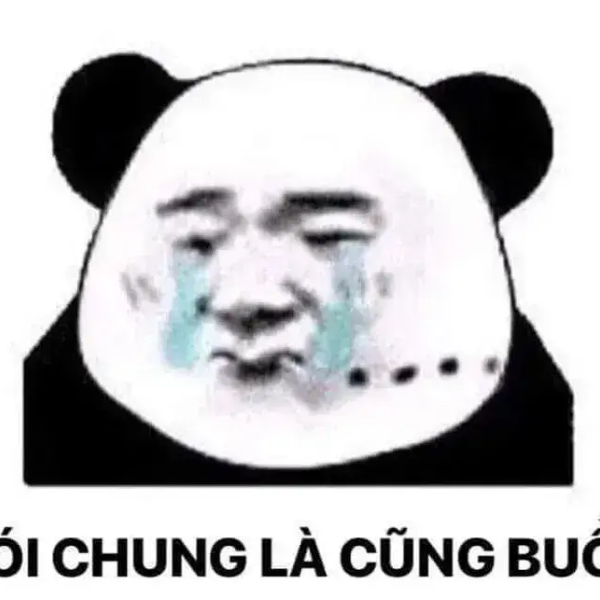 meme mếu 36