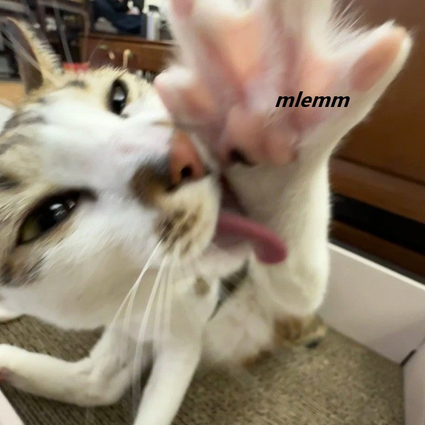 meme mlem 12