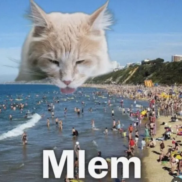 meme mlem 18
