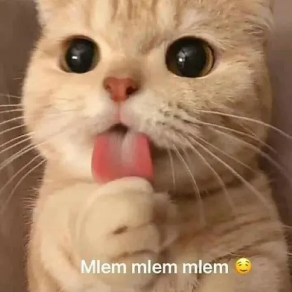meme mlem 26