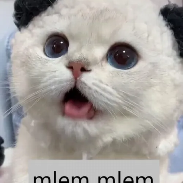 meme mlem 33