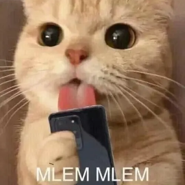 meme mlem 35