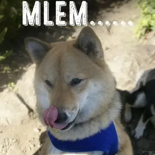 meme mlem 36