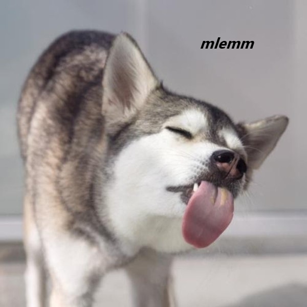 meme mlem 6