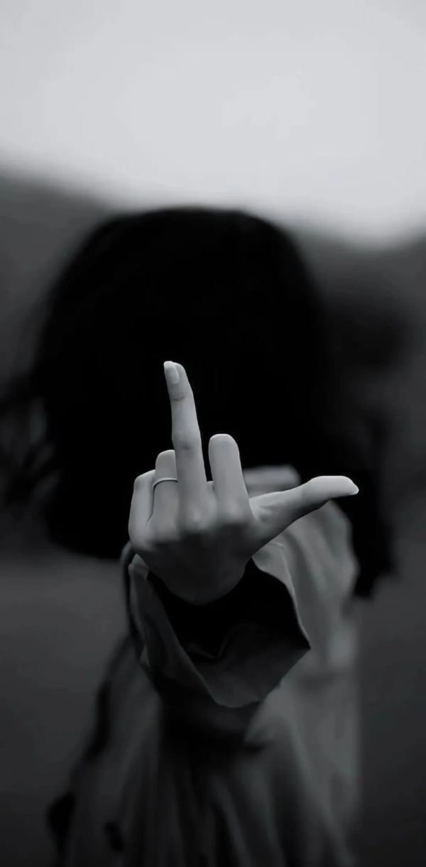 meme ngón giữa 27