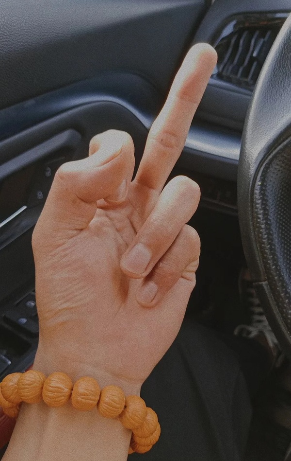 meme ngón giữa 29