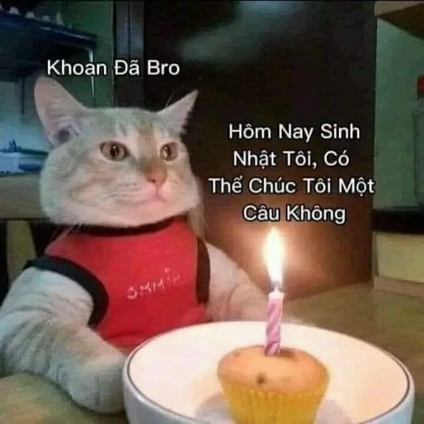 meme nhân văn 13
