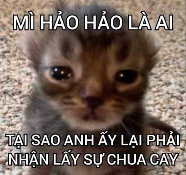 meme nhân văn 20