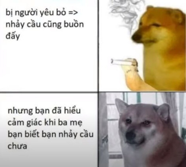 meme nhân văn 29