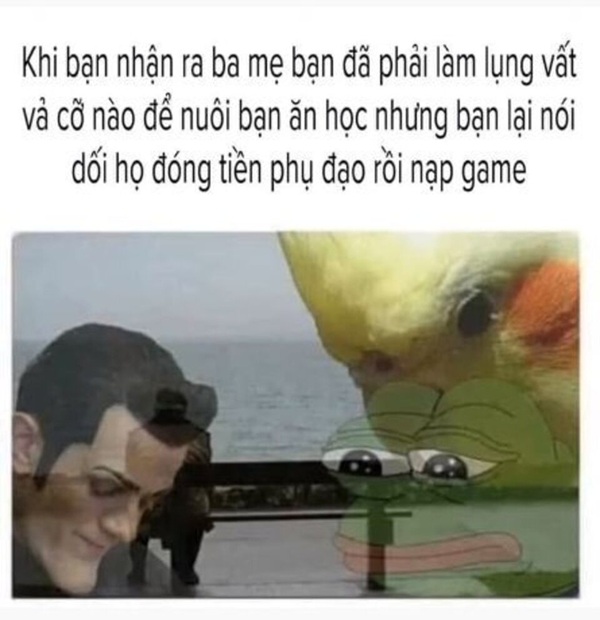 meme nhân văn 34
