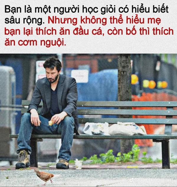 meme nhân văn 4