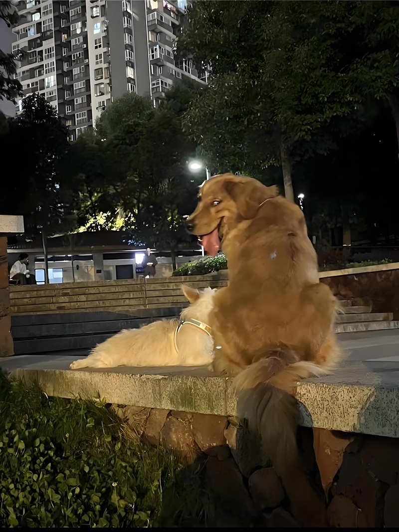 meme nhếch mép 21