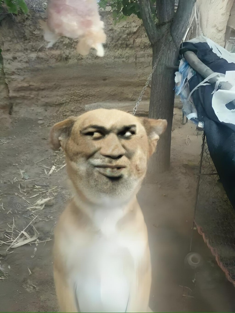 meme nhếch mép 34