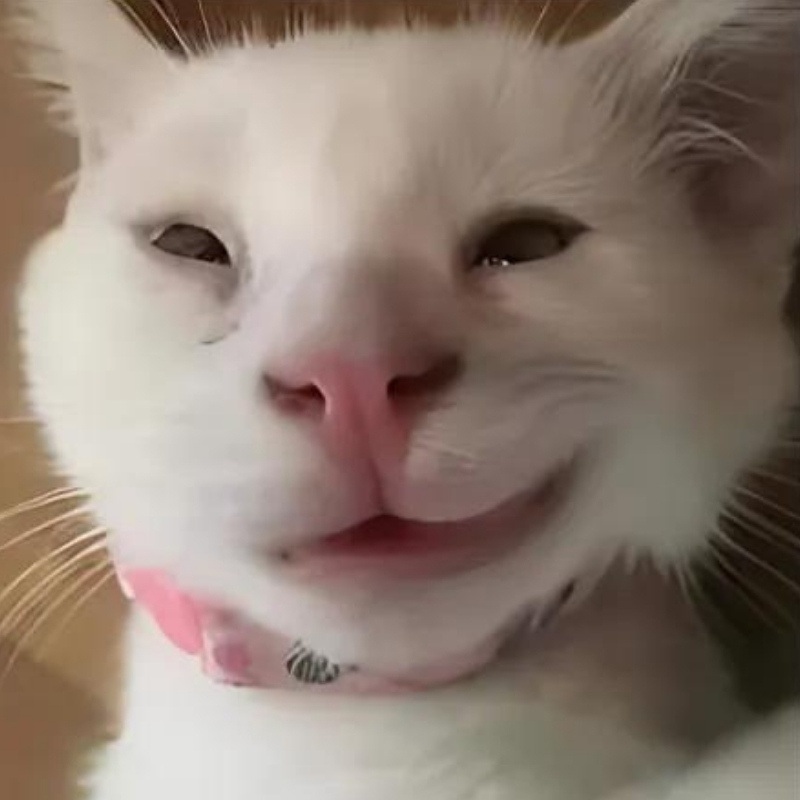 meme nhếch mép 35