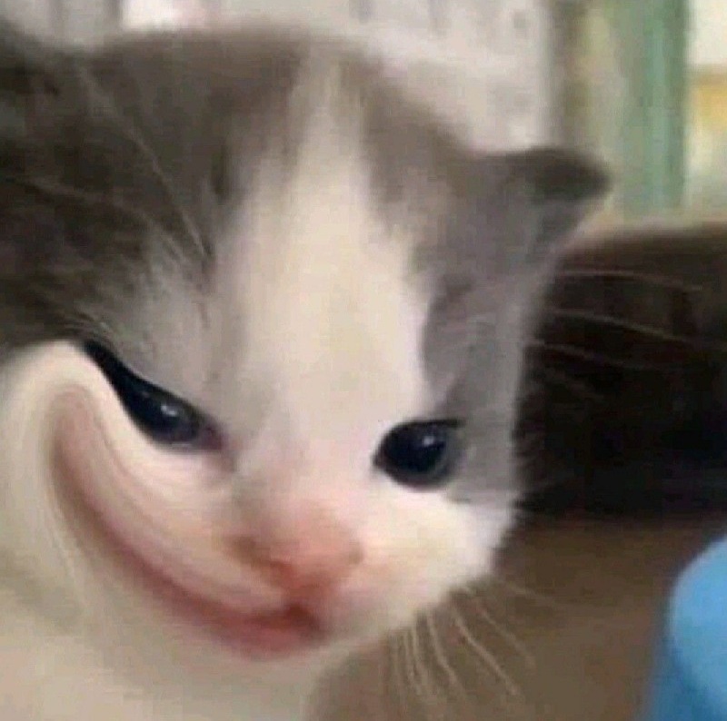 meme nhếch mép 36