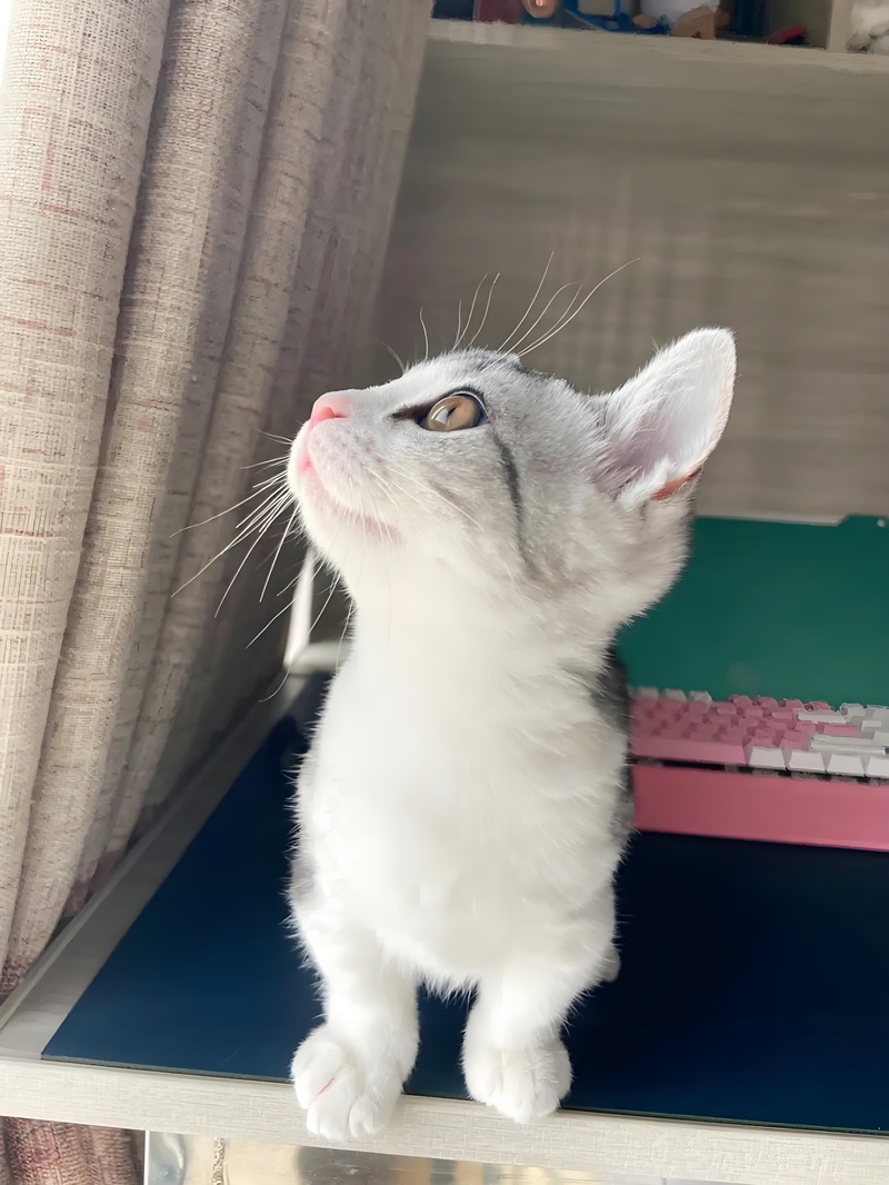 meme nhìn lên trời 11