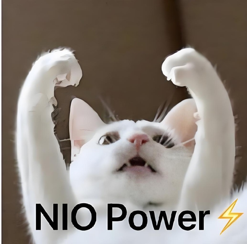 meme nhìn lên trời 21