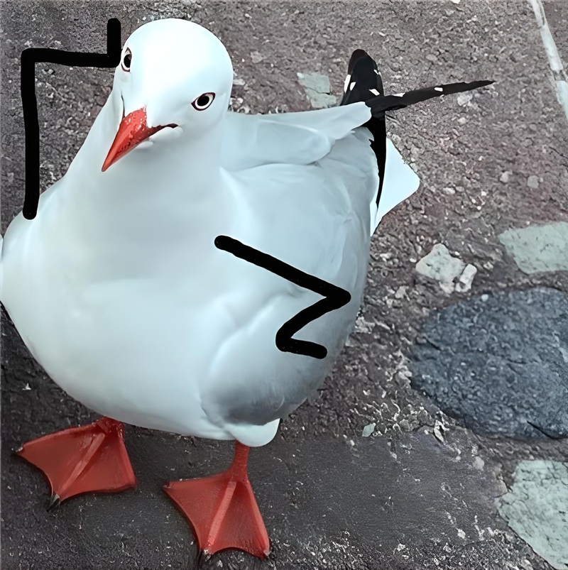 meme nhìn lên trời 25