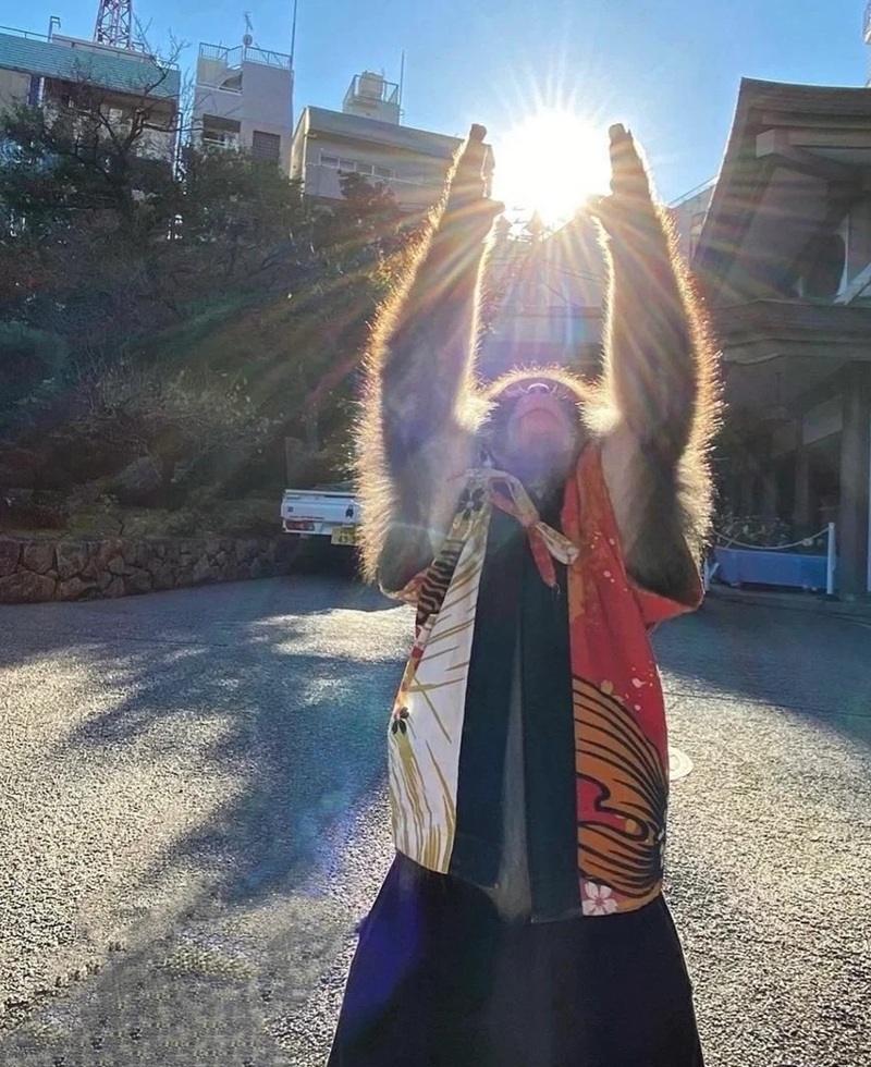 meme nhìn lên trời 39