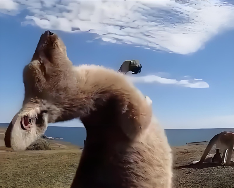 meme nhìn lên trời 9