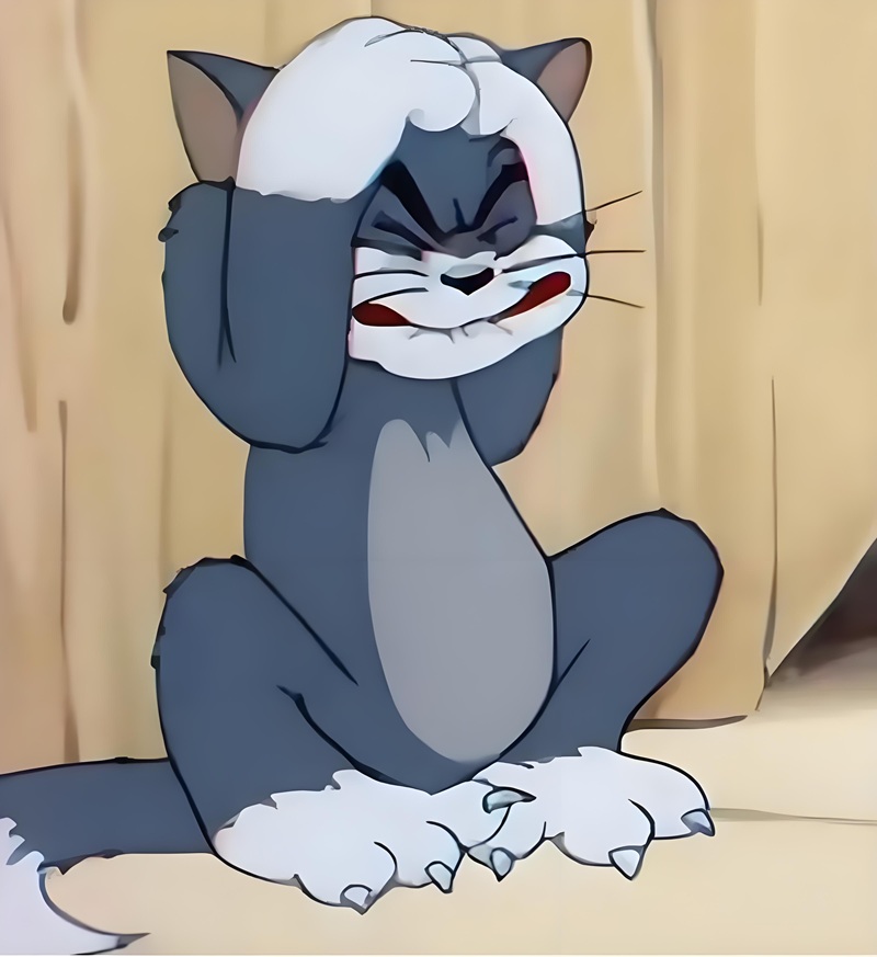 meme ôm đầu 30