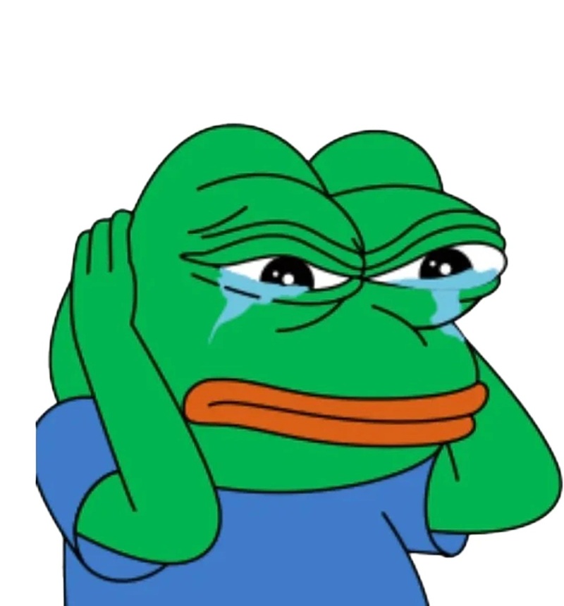 meme pepe cry