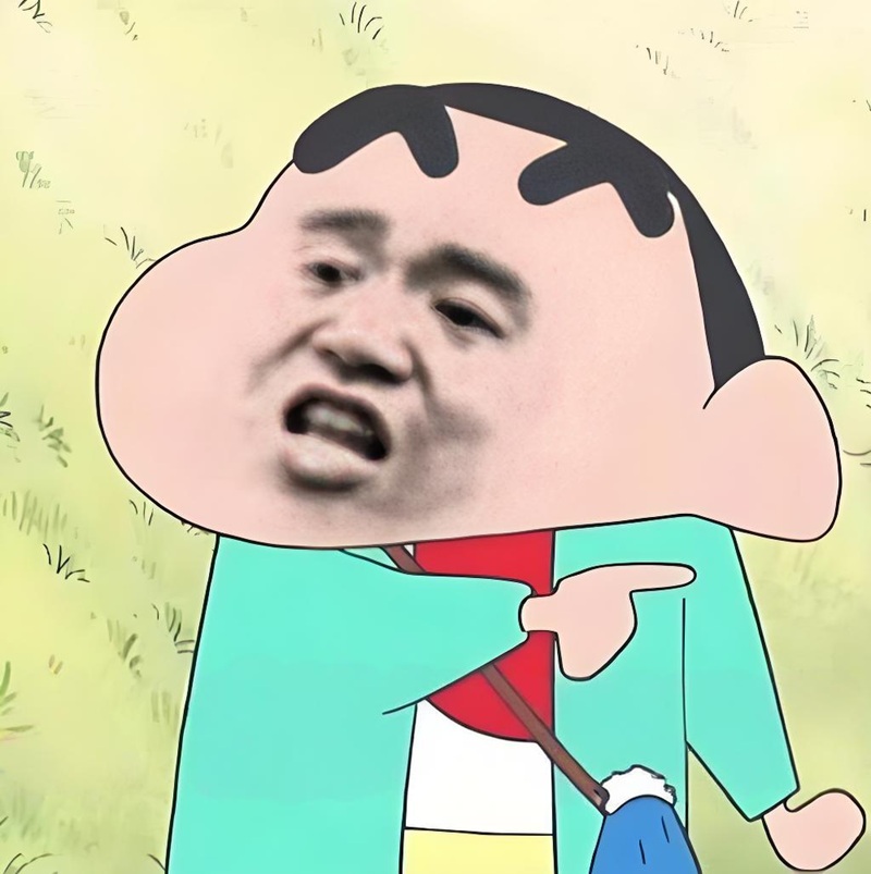 meme shin bựa 8