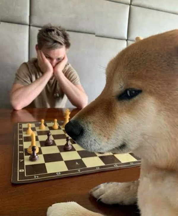 meme template 8
