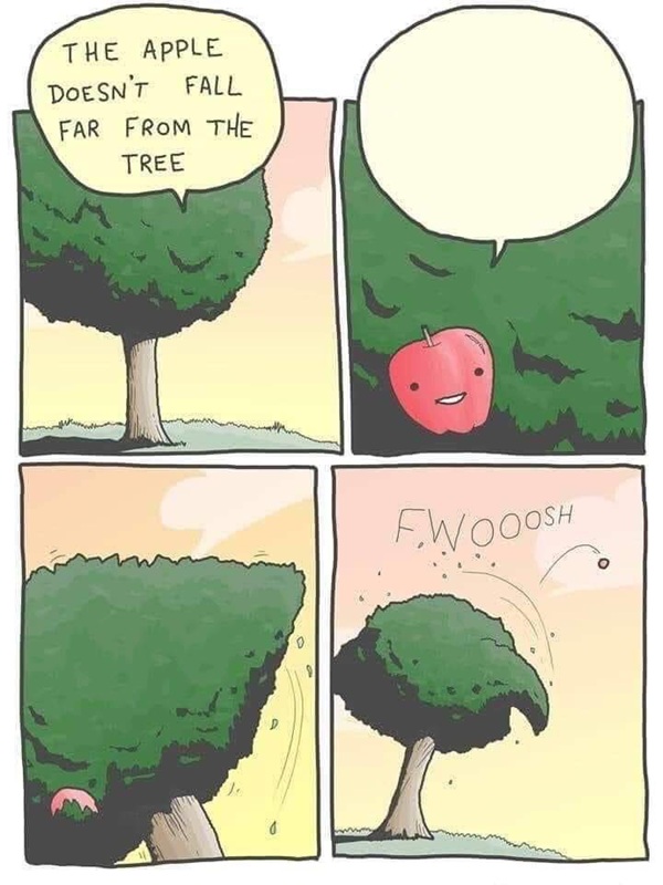 meme template 9