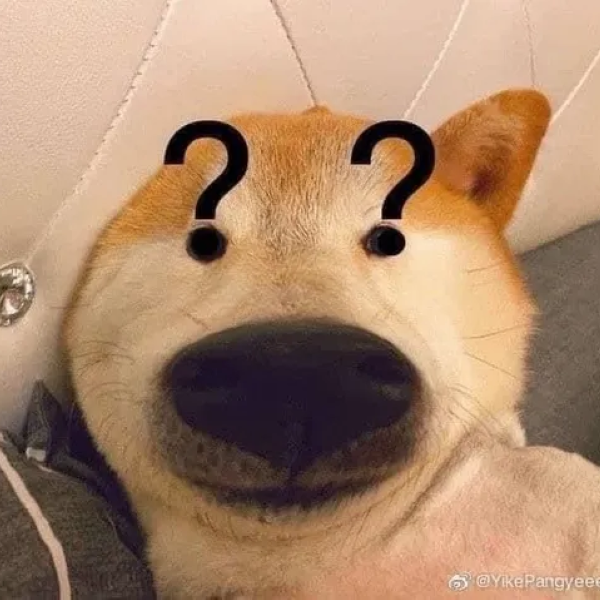 meme thắc mắc 12