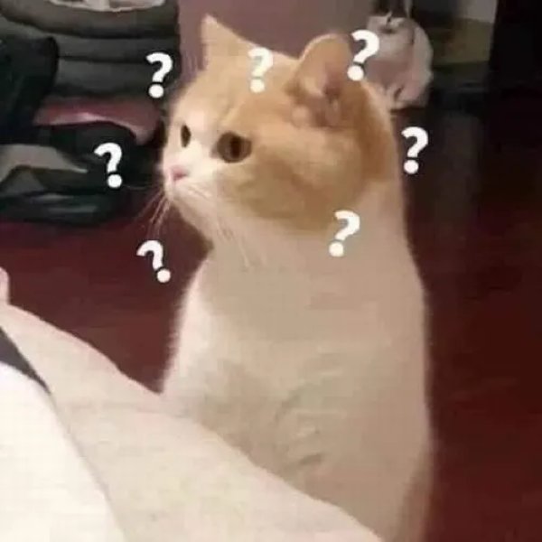 meme thắc mắc 13