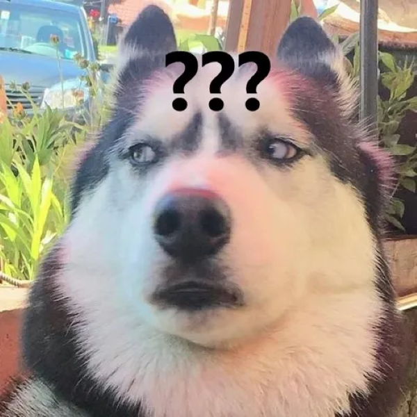 meme thắc mắc 21