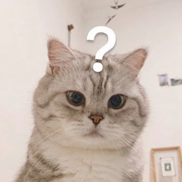 meme thắc mắc 23