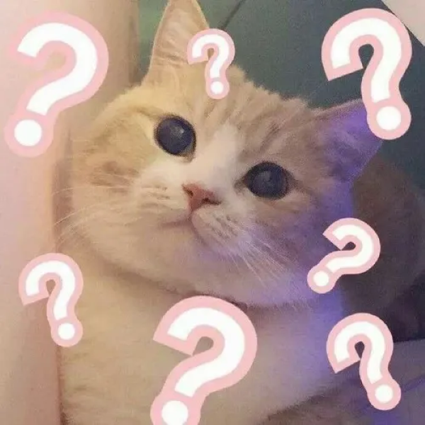 meme thắc mắc 24