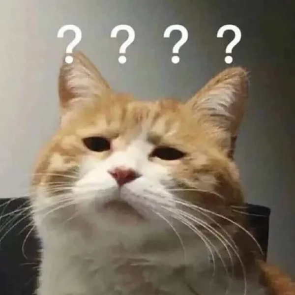 meme thắc mắc 28