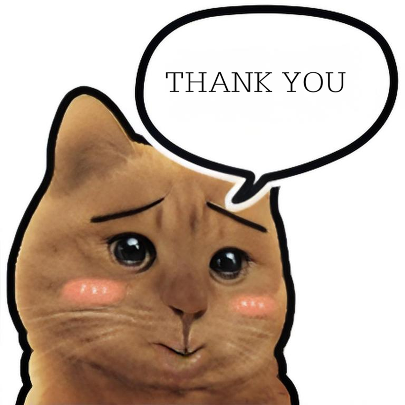 meme thank you 1