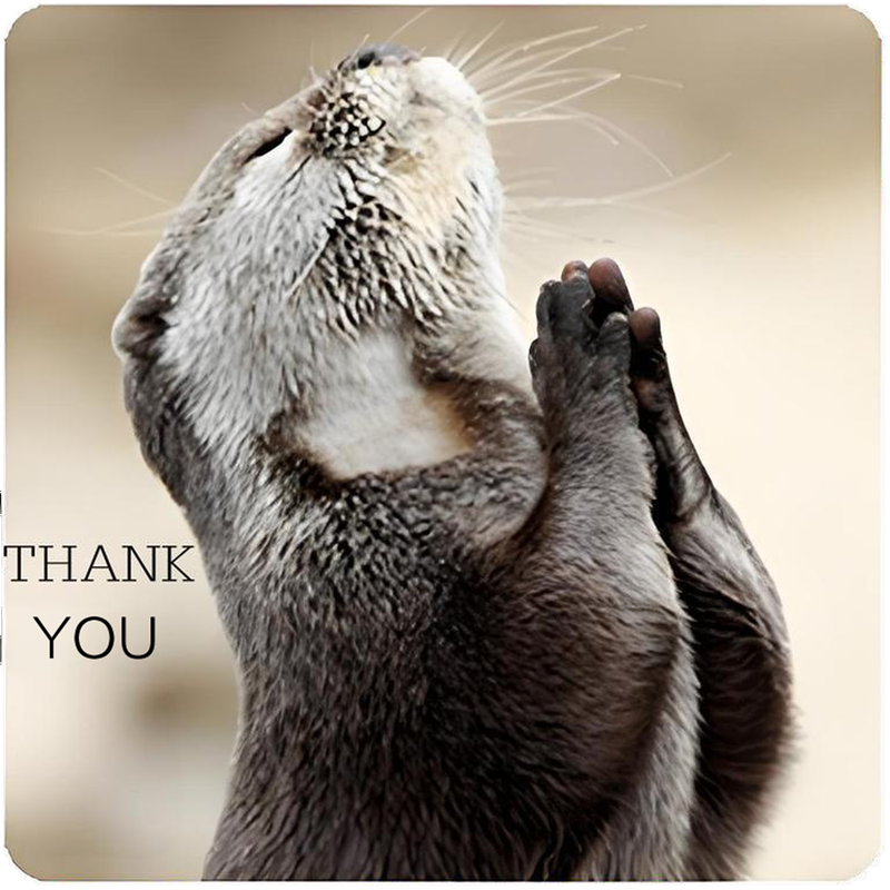 meme thank you 14