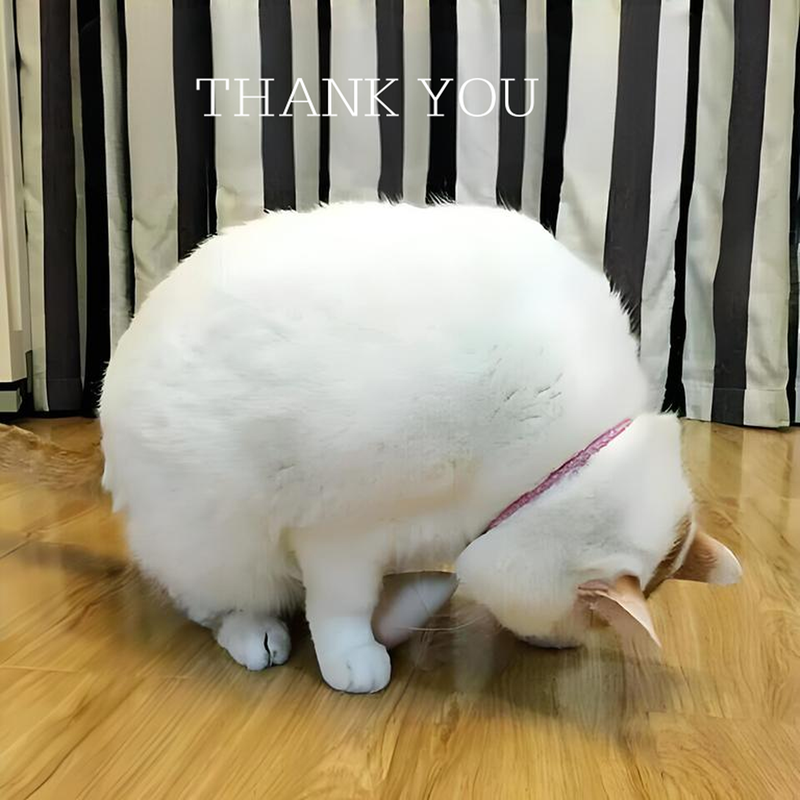 meme thank you 25
