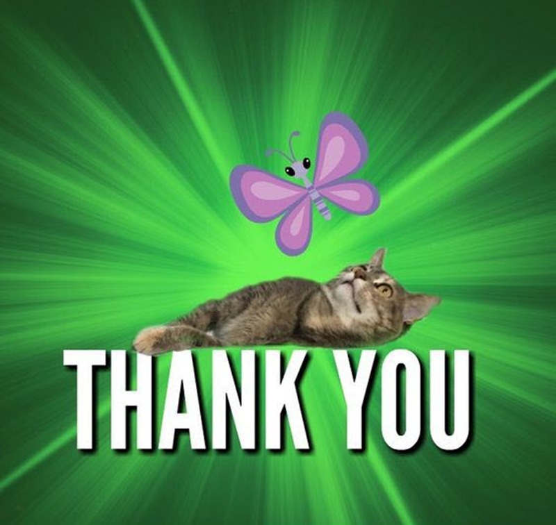 meme thank you 30