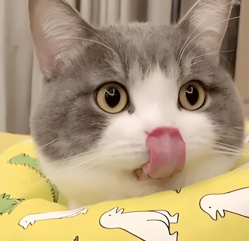 meme thèm thuồng 19